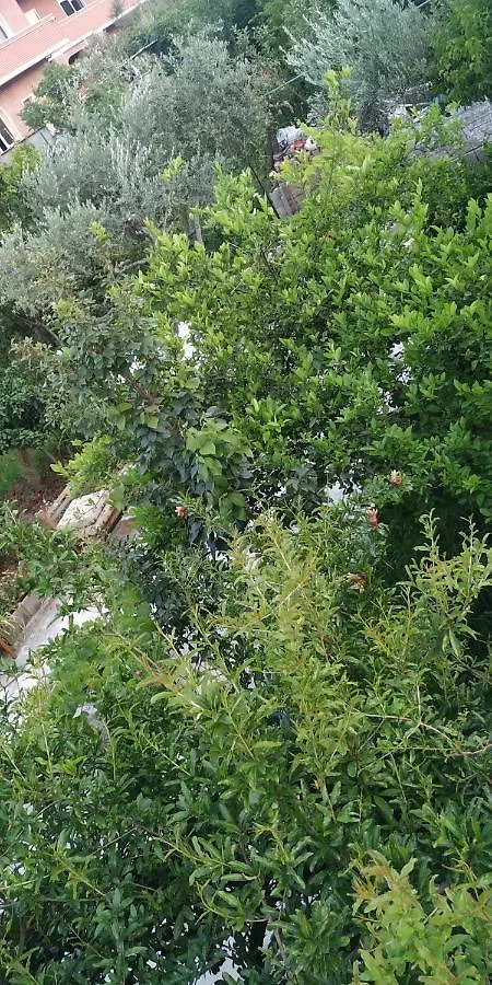 Spacious House With A Big Garden And Fire Pit Villa Tirana Holiday home